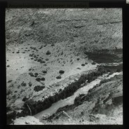 Böhl glass slide 59./1393